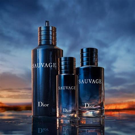 dior sauvage seife|sephora Dior cologne.